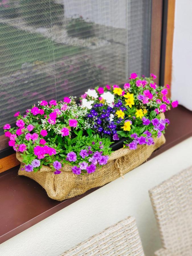 Sklené Teplice Grand Spa Holiday Home מראה חיצוני תמונה