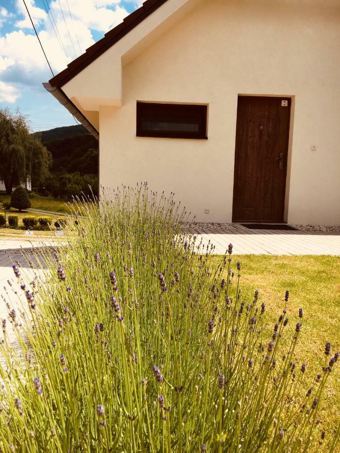 Sklené Teplice Grand Spa Holiday Home מראה חיצוני תמונה